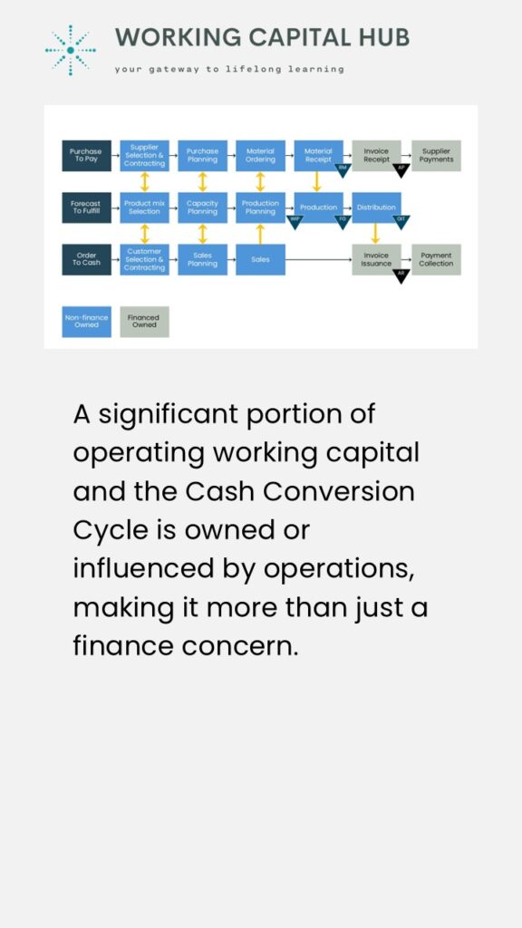 Working Capital Hub - Insights - Operating Working Capital and Profitability - Stakeholders